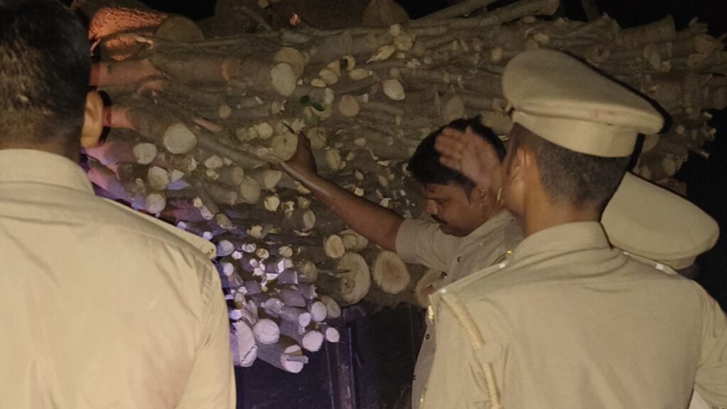 Auraiya News: उड़न दस्ता प्रभारी की सक्रियता से अवैध नीम कटान पर कसा शिकंजा 3 1003637696