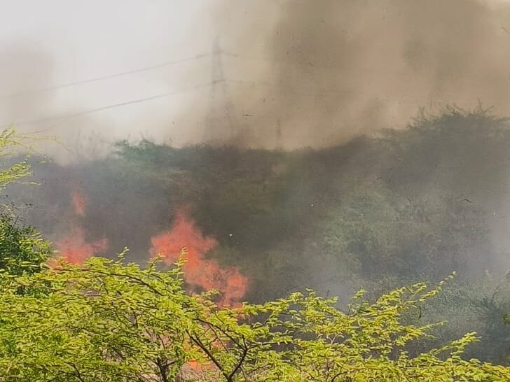 बीहड़ों में भीषण आग से 400 बीघा क्षेत्र खाक, वन्यजीवों को भारी नुकसान 3 80377 edited