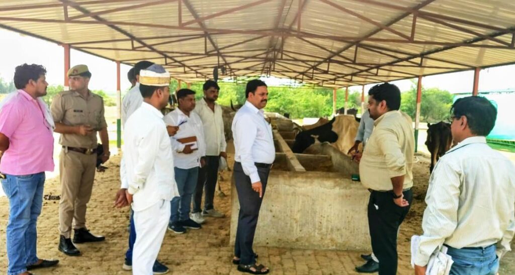 संचालित गोशालाओं में व्यवस्थाएं दुरुस्त रखने के निर्देश, गौवंशों को प्रतिदिन मिले हरा चारा : जिलाधिकारी 3 96681